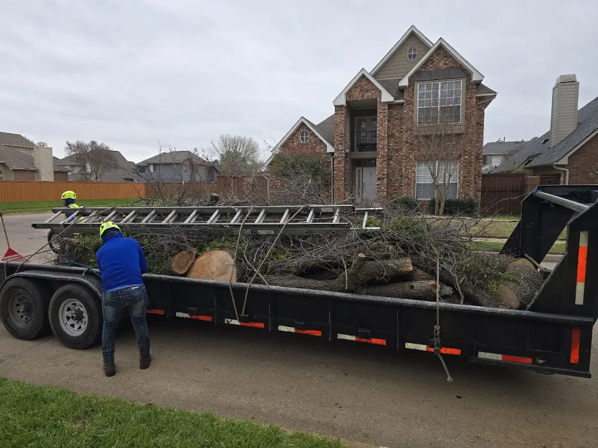 Expert Tree Fertilization with proper safety equipment in Everest